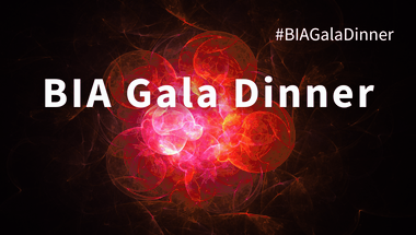 Gala-Dinner-2025-web-banner (1)